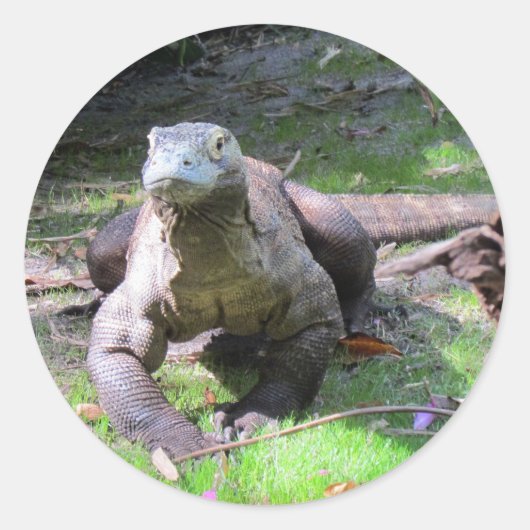 Stickers Komodo Dragon (0606) (Devant)