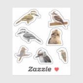 Stickers Kookaburra (Feuille)