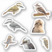Stickers Kookaburra (Devant)