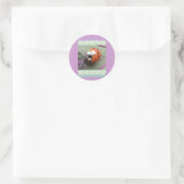 Stickers Ladybug (Sac)