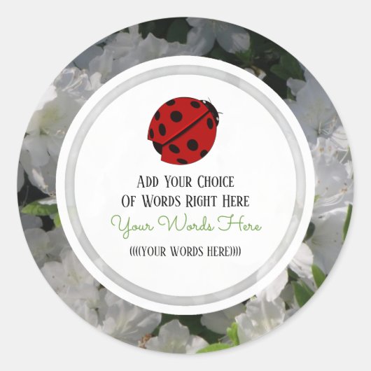 Stickers Ladybug personnalisés (Devant)