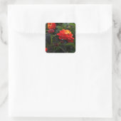 Stickers Lantana rouge orange #1-2 (Sac)