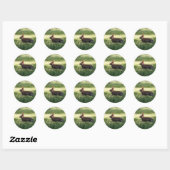 Stickers Lapin Bunny (Feuille)