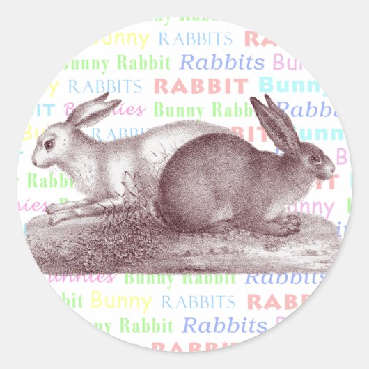 Stickers Lapin Lapin - Habillez Vos Paquets (Devant)