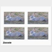 Stickers Lapy Lazy (Feuille)
