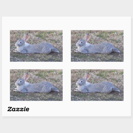Stickers Lapy Lazy (Feuille)