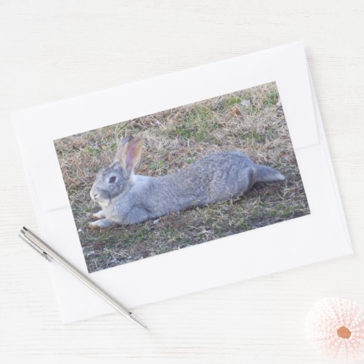 Stickers Lapy Lazy (Enveloppe)