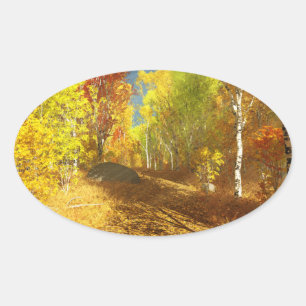 Stickers Légers en chute