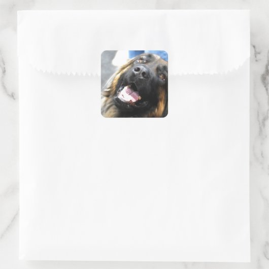 Stickers Leonberger (Sac)