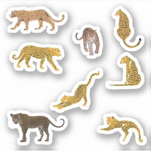 Stickers Leopard (Devant)