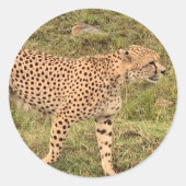 Stickers Leopard (Devant)