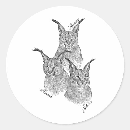 Stickers - Les planètes (Devant)