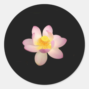 Stickers Lily d'eau