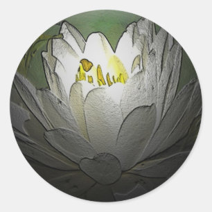 Stickers Lily d'eau blanche