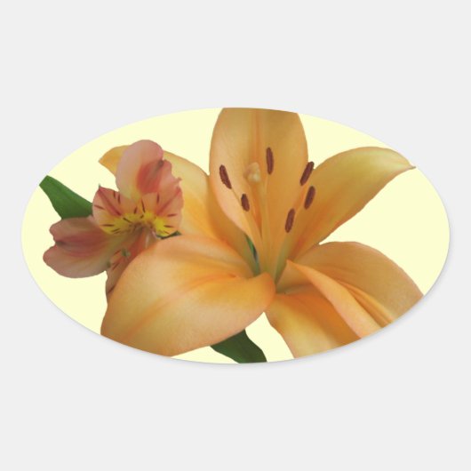 Stickers - Lily & Friend (R/F) (Devant)