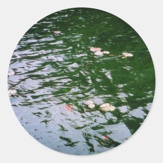 Stickers Lily Pads (Devant)