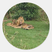Stickers Lion (Devant)