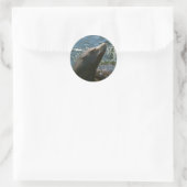 Stickers Lion de mer (Sac)