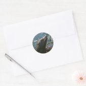 Stickers Lion de mer (Enveloppe)
