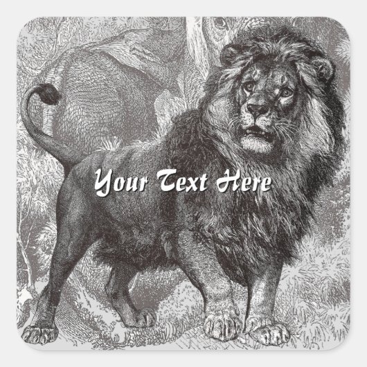 Stickers Lion vintages (Devant)