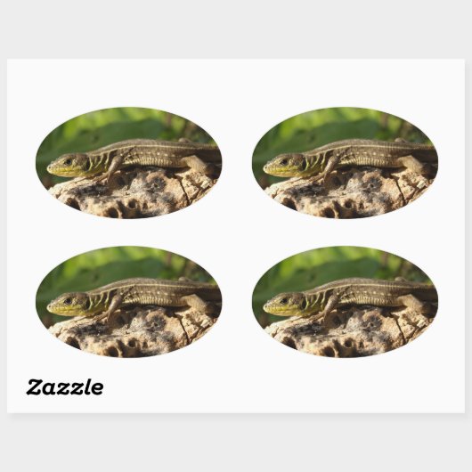 Stickers Lizard (Feuille)