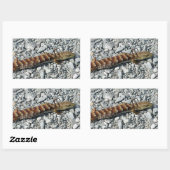 Stickers Lizard Alligator (Feuille)