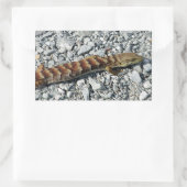 Stickers Lizard Alligator (Sac)