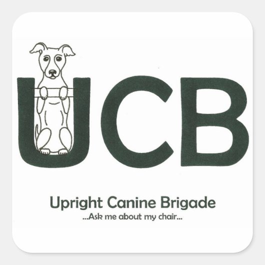 Stickers logo UCB (Devant)