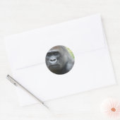 Stickers Look Gorilla (Enveloppe)