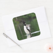 Stickers Loon (Enveloppe)