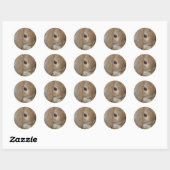 Stickers - Lop Eared Dwarf Rabbit (Vel)