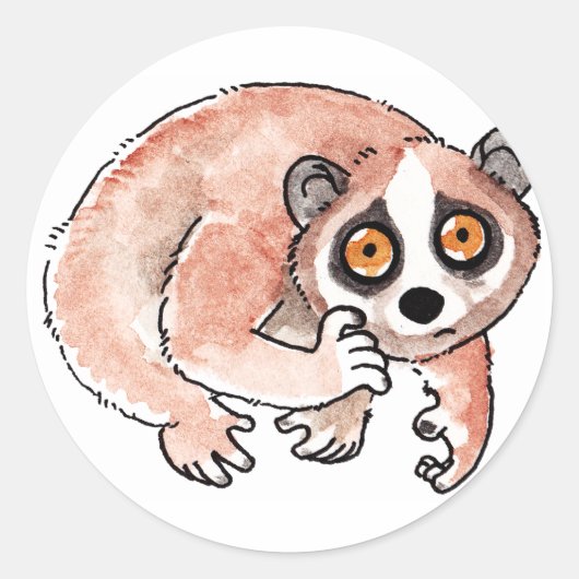 Stickers Loris Lents (Devant)