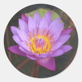 Stickers Lotus