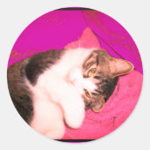 Stickers Lucy Kitty (Devant)