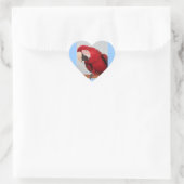 Stickers Macaw (Sac)
