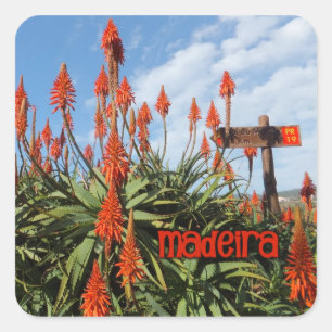 stickers Madeira Aloe