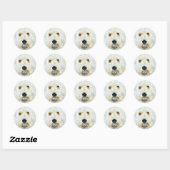 Stickers Maggie Labradoodle Blanc (Feuille)