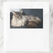 Stickers Maine Coon Cat (Sac)