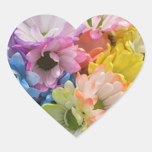 Stickers - Maisées multicolores II (Devant)