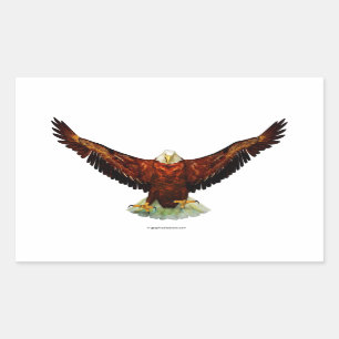Stickers Majestic en forme de rectangle d'aigle