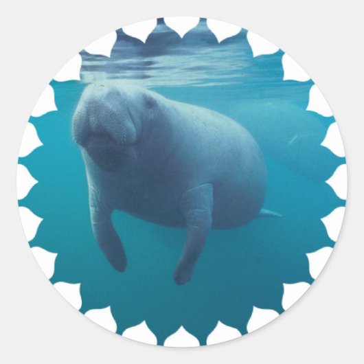 Stickers Manatee (Devant)