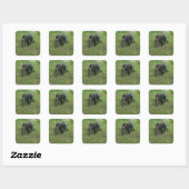Stickers Mandrill #5 (Feuille)