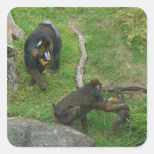 Stickers Mandrill #6 (Devant)