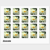 Stickers marguerite (Feuille)