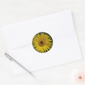 Stickers marguerite jaune (Enveloppe)