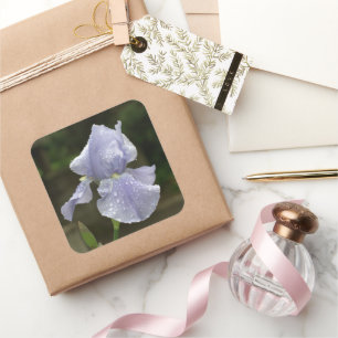 Stickers Mariage Blue Iris Fleur avec Raindrops