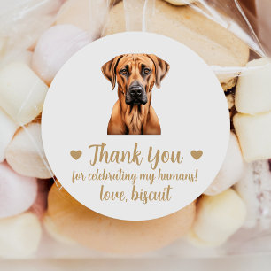 Stickers Mariage de Chien Rhodesian Ridgeback Favo