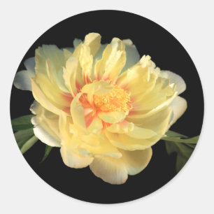 Stickers Mariage Enveloppe Peony Jaune