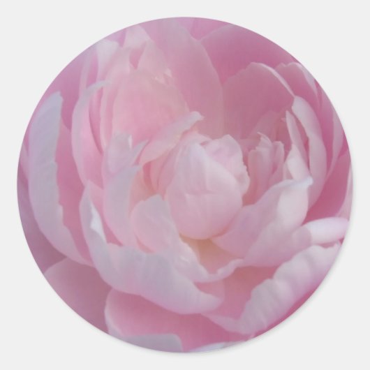 Stickers Mariage Peony rose clair Peine Peonies (Devant)