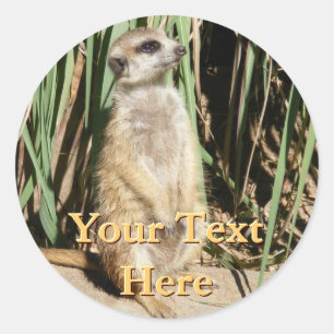 Stickers Meerkat